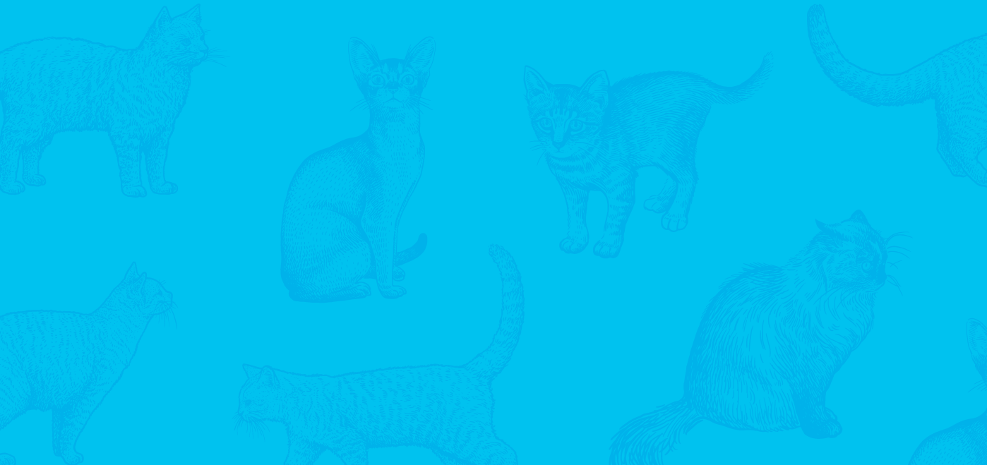 All Smelt Products for Cats