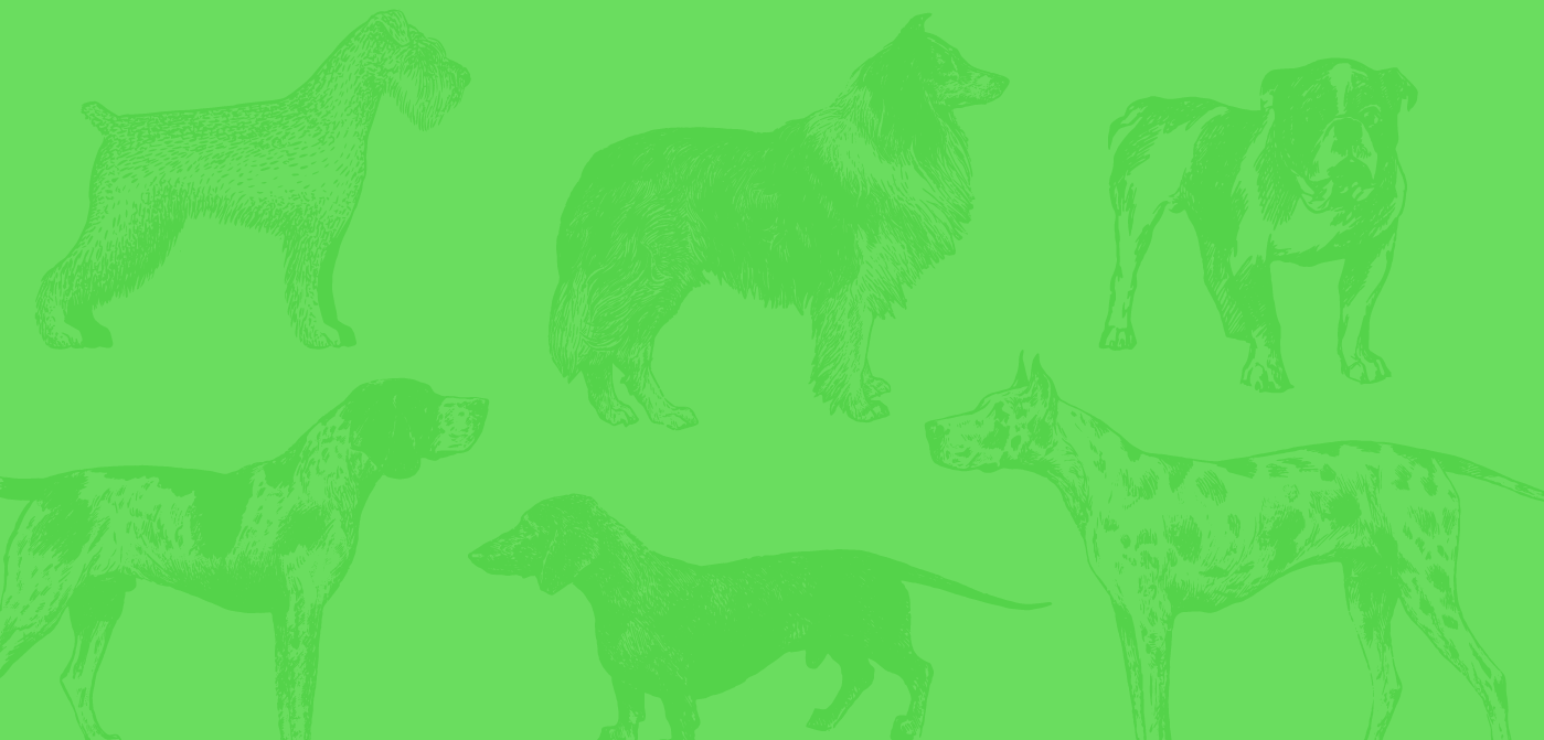 Raw Chicken Formula for Dogs