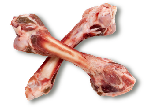 Lamb Bone