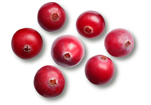 Organic Cranberries