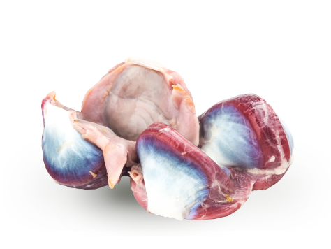  Duck Gizzards