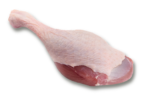 Duck with Bone