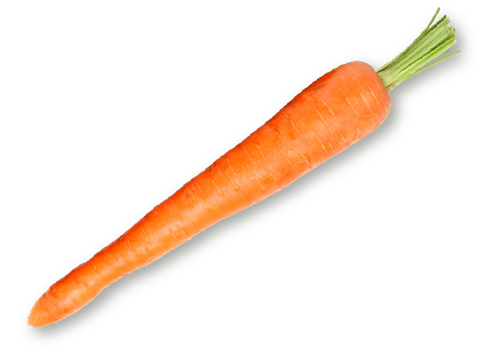  Organic Carrots