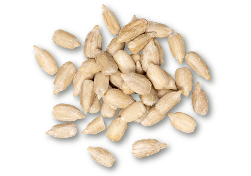 Organic Sunflower Seeds