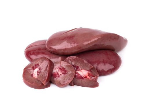  Rabbit Kidneys